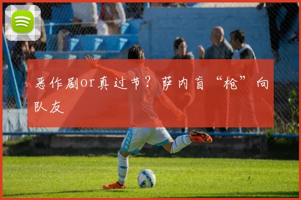 恶作剧or真过节？萨内盲“枪”向队友