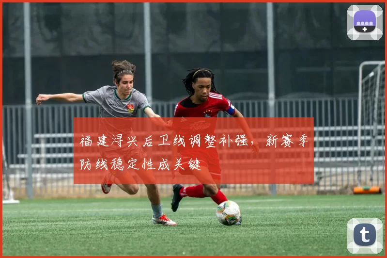 福建浔兴后卫线调整补强，新赛季防线稳定性成关键