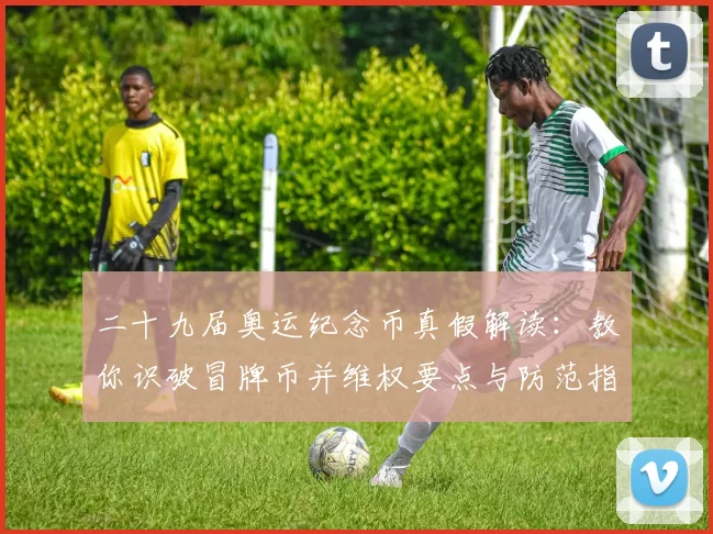 二十九届奥运纪念币真假解读：教你识破冒牌币并维权要点与防范指南