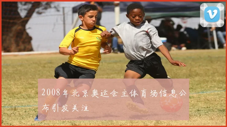 2008年北京奥运会主体育场信息公布引发关注